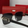 Carter CRT026 Sunglasses Silver Leopard - Image 3